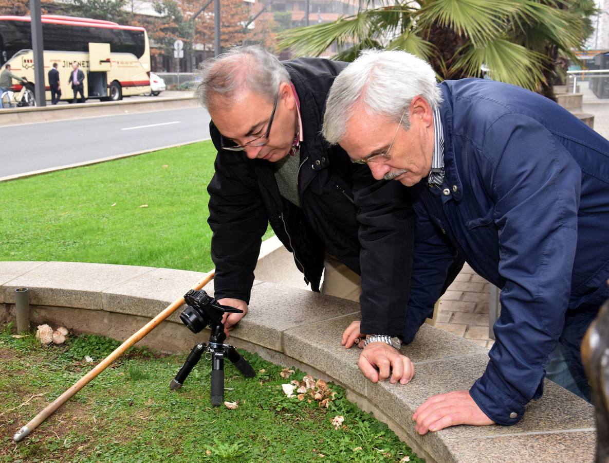 XIV Jornadas Micológicas de Otoño en Logroño