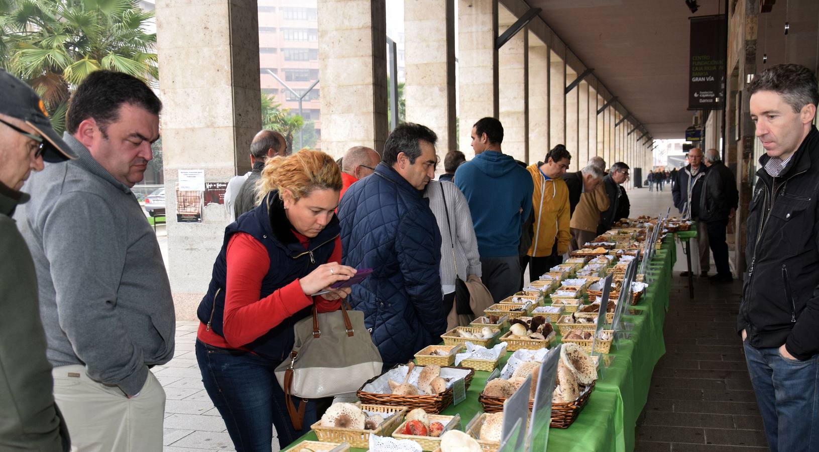 XIV Jornadas Micológicas de Otoño en Logroño