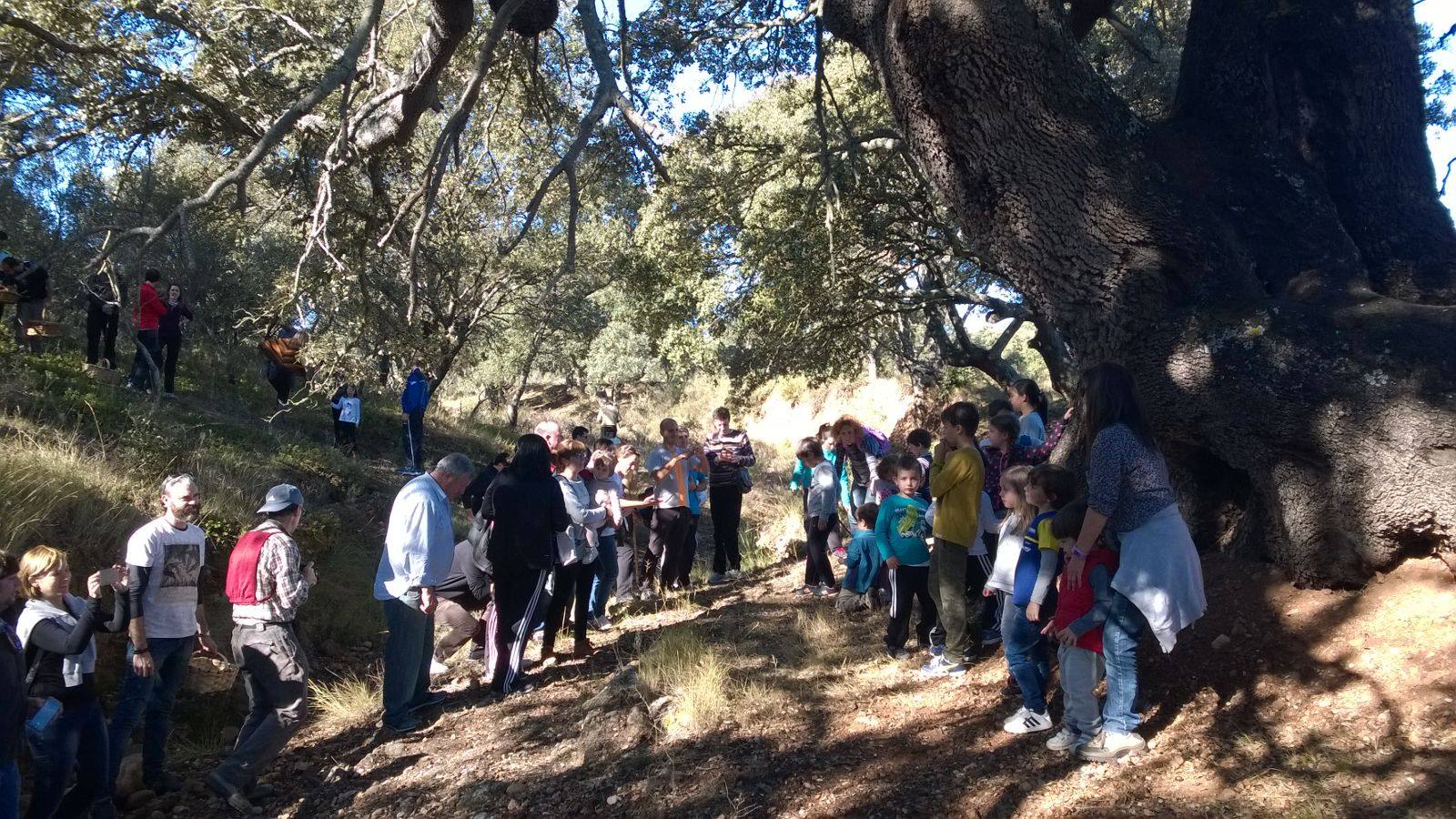 Jornadas micológicas de Villarroya II