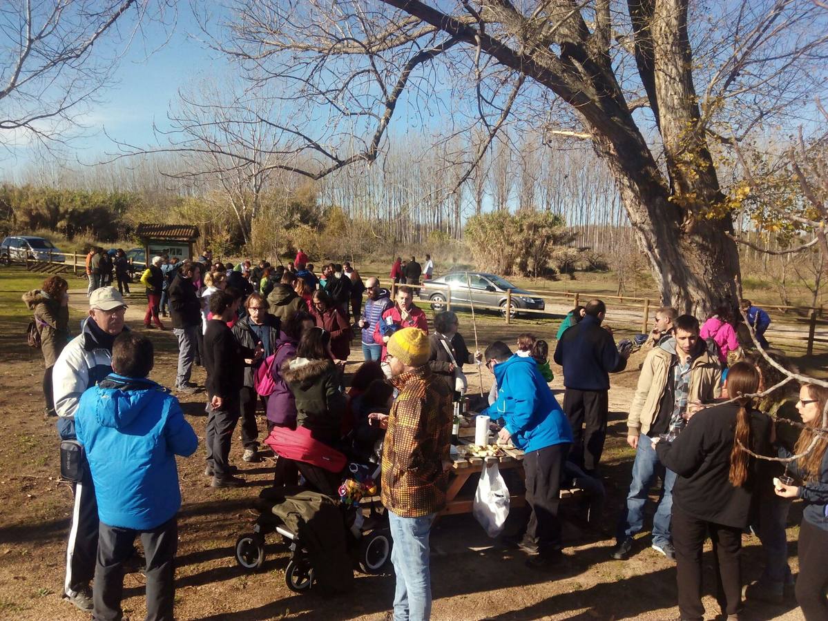 Marcha &#039;Salvemos los Sotos de Alfaro&#039;