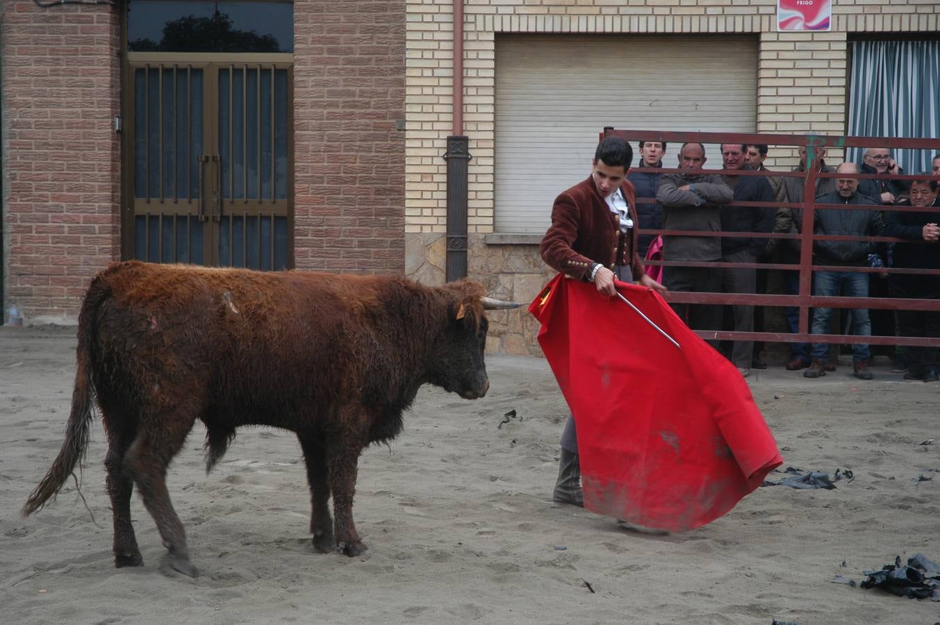 Vaquillas en Rincón de Olivedo