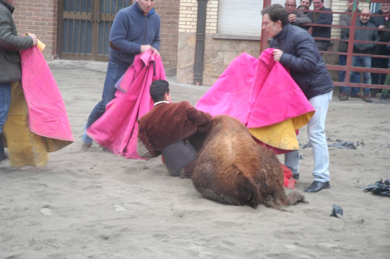 Vaquillas en Rincón de Olivedo