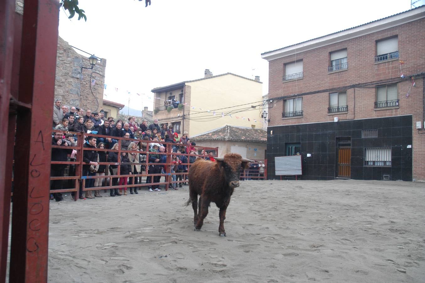 Vaquillas en Rincón de Olivedo