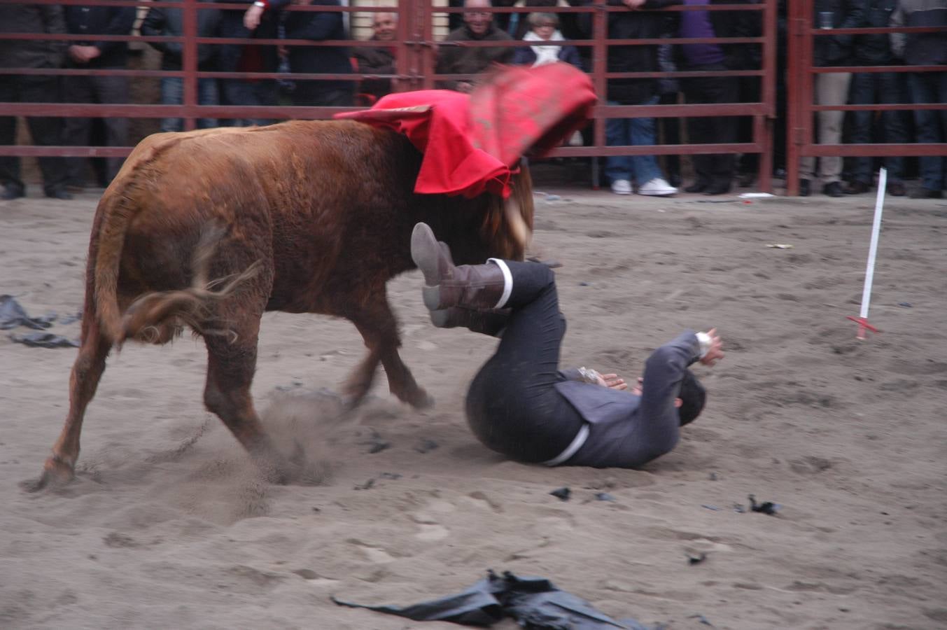 Vaquillas en Rincón de Olivedo