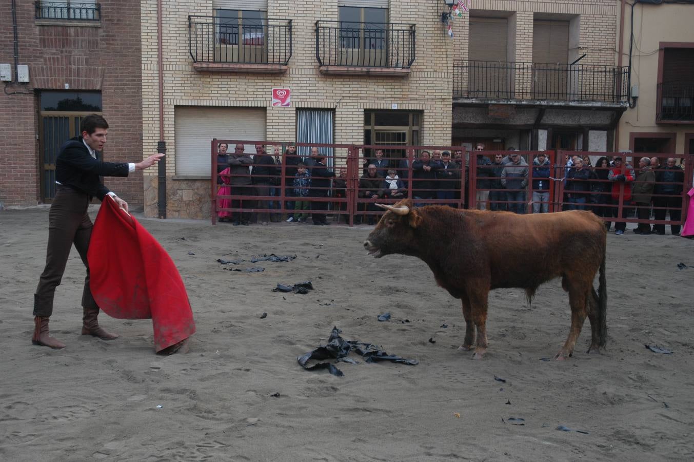 Bolsín taurino en Rincón de Olivedo