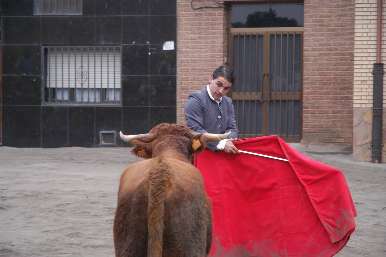 Bolsín taurino en Rincón de Olivedo