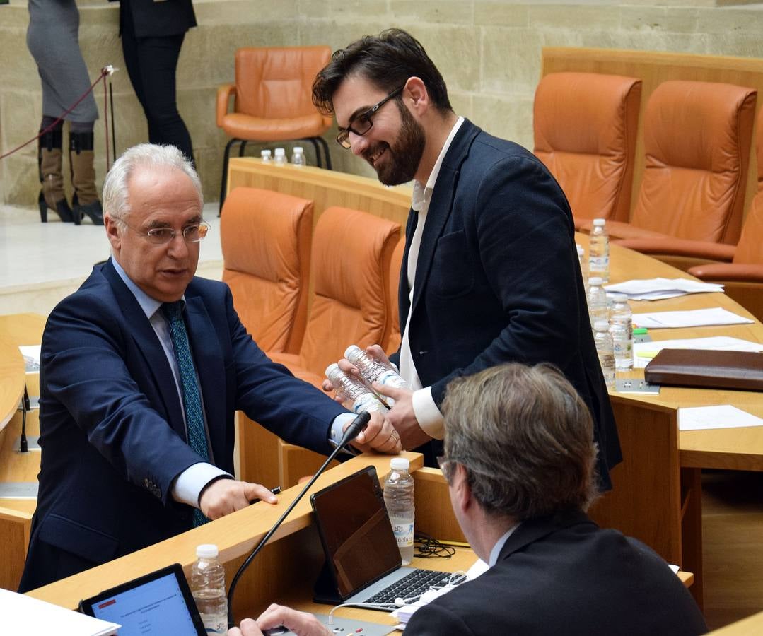 Gestos y manos alzadas (o no) en el Parlamento riojano