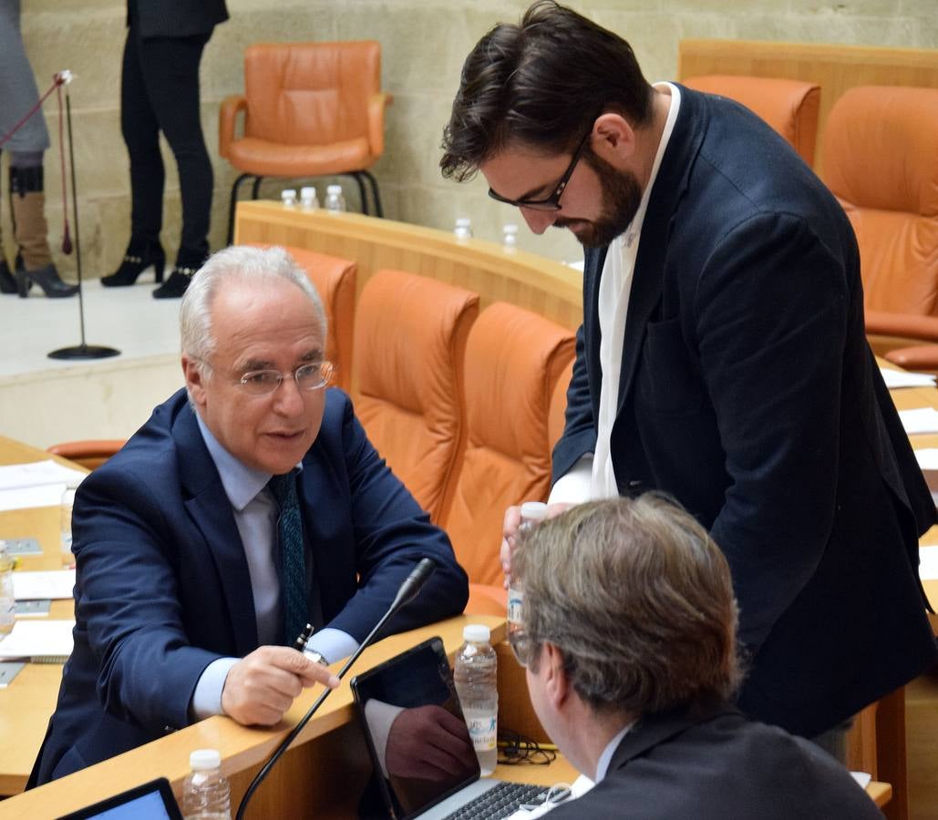 Gestos y manos alzadas (o no) en el Parlamento riojano