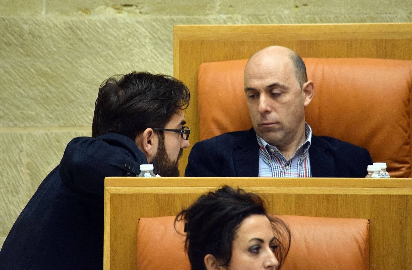 Gestos y manos alzadas (o no) en el Parlamento riojano