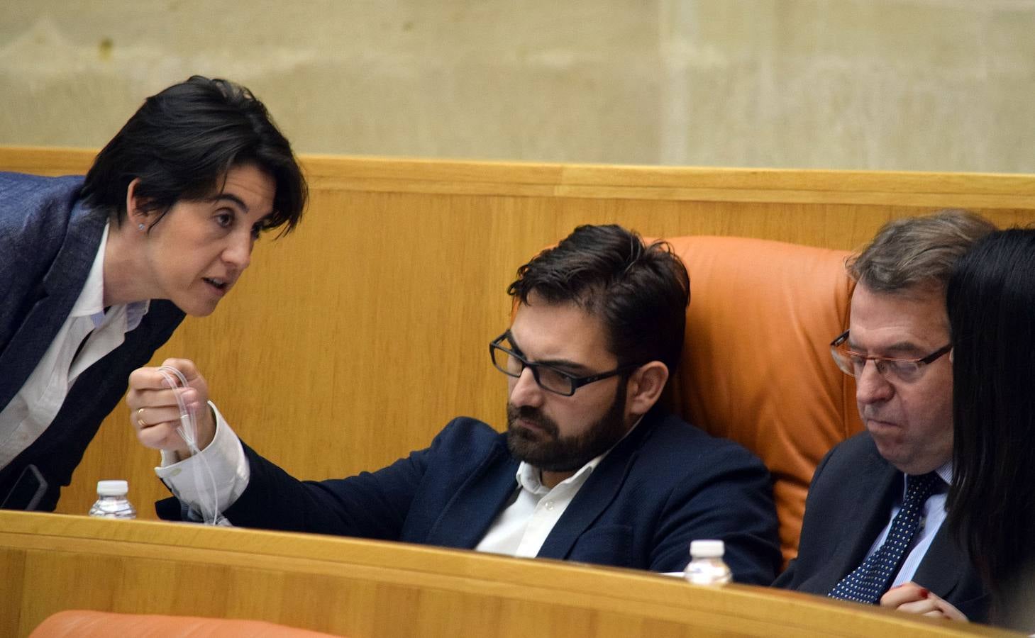 Gestos y manos alzadas (o no) en el Parlamento riojano