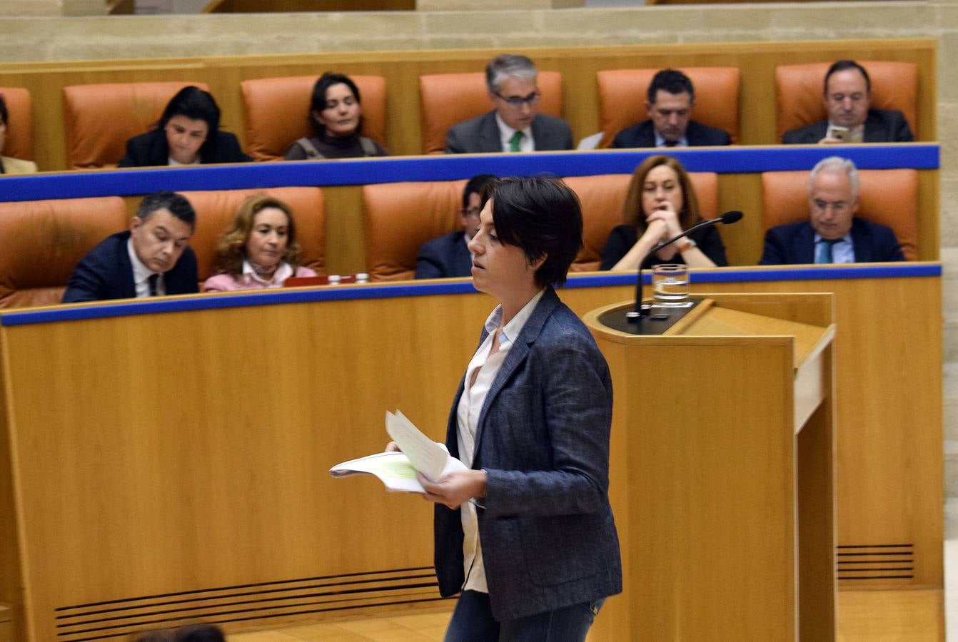 Gestos y manos alzadas (o no) en el Parlamento riojano