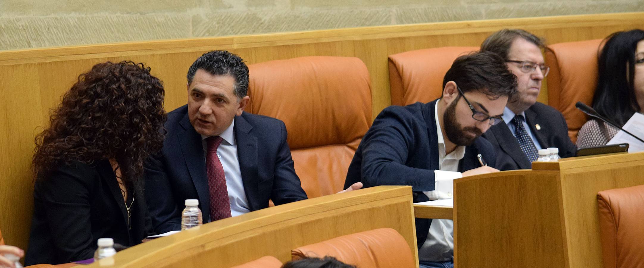 Gestos y manos alzadas (o no) en el Parlamento riojano