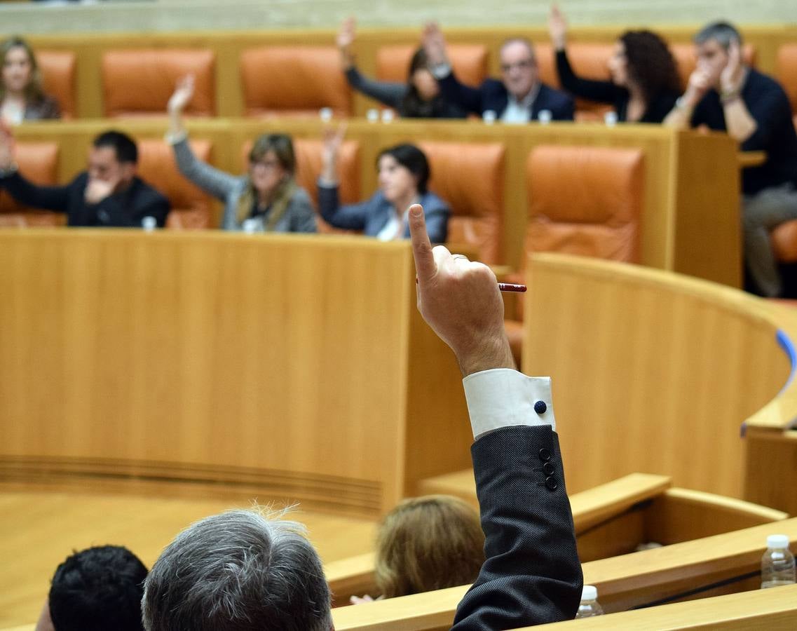 Gestos y manos alzadas (o no) en el Parlamento riojano