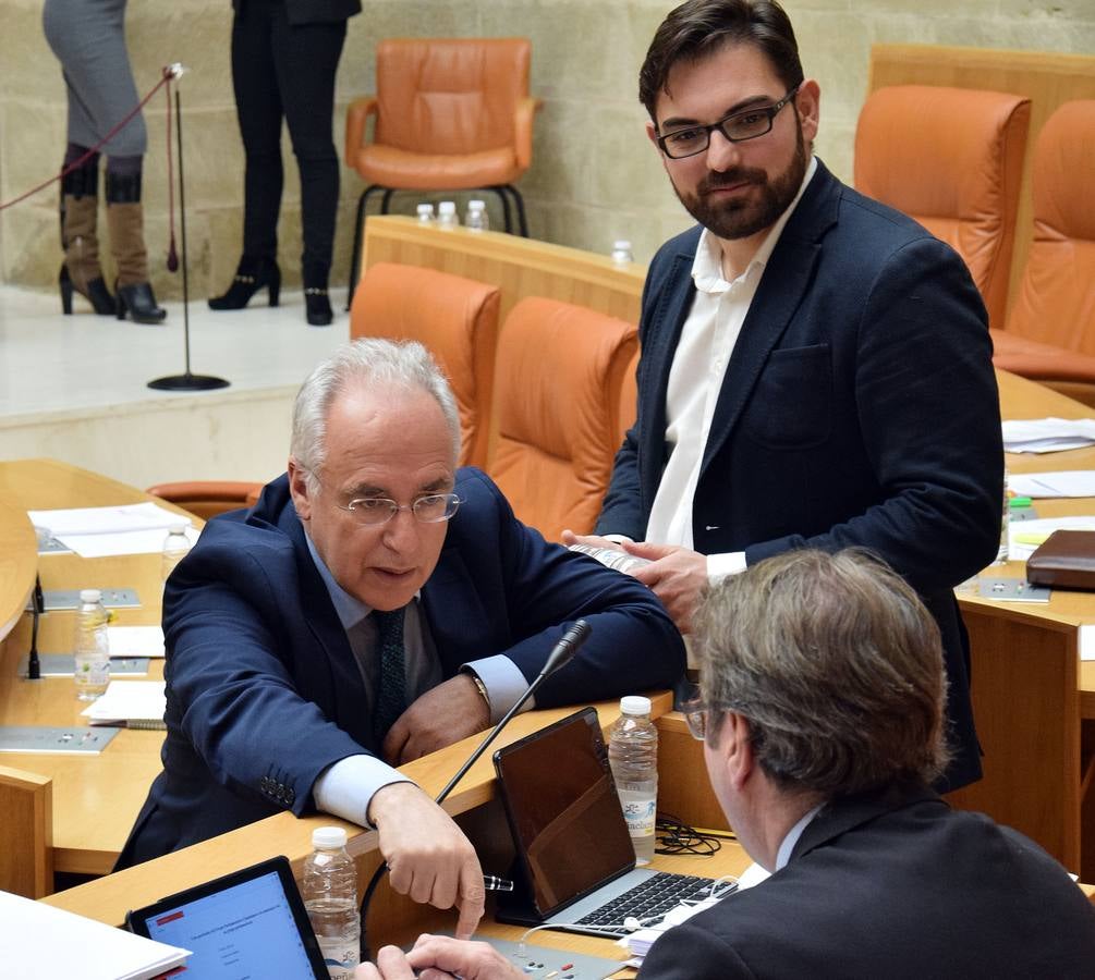 Gestos y manos alzadas (o no) en el Parlamento riojano