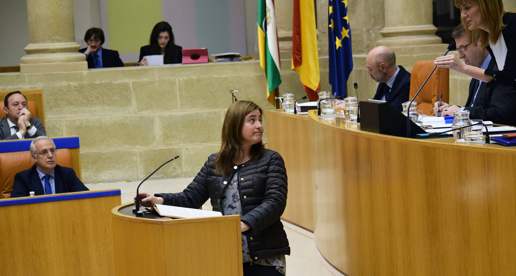 Los gestos de la sesión en el Parlamento de La Rioja