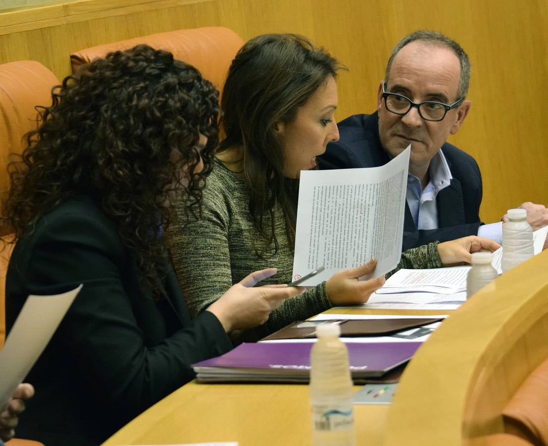 Los gestos de la sesión en el Parlamento de La Rioja