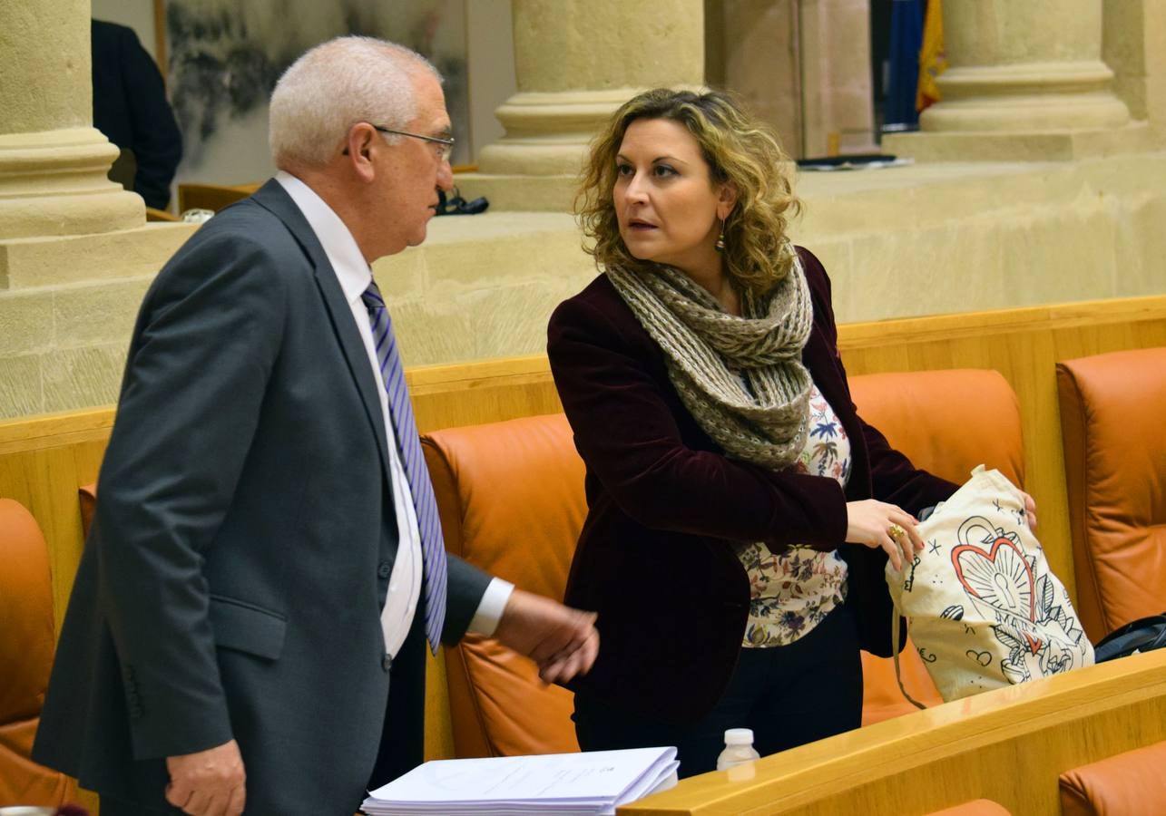 Los gestos de la sesión en el Parlamento de La Rioja