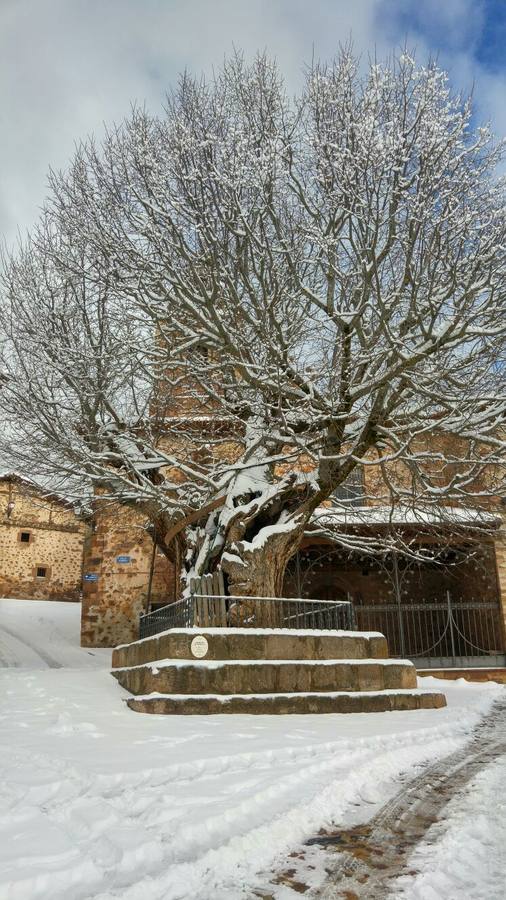 El rasillo, en blanco