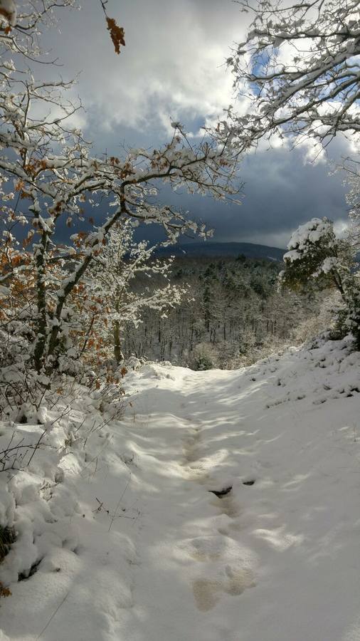 El rasillo, en blanco