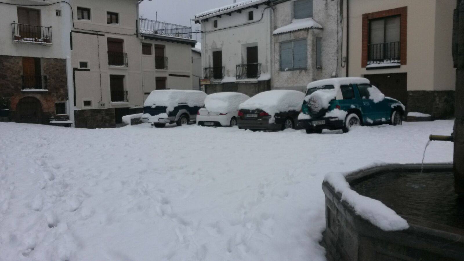 Nieva. 