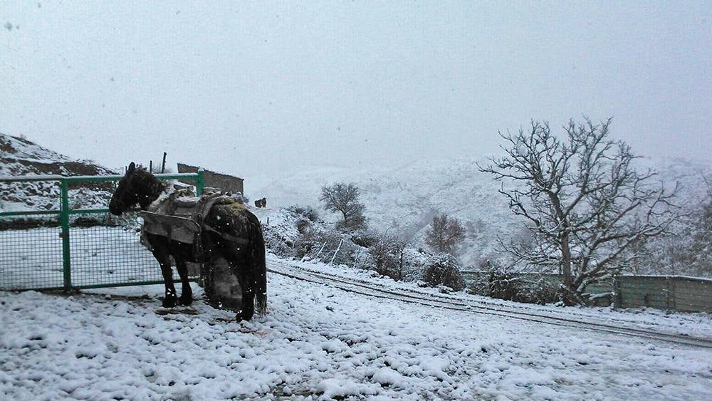 Jalón de Cameros se queda blanco