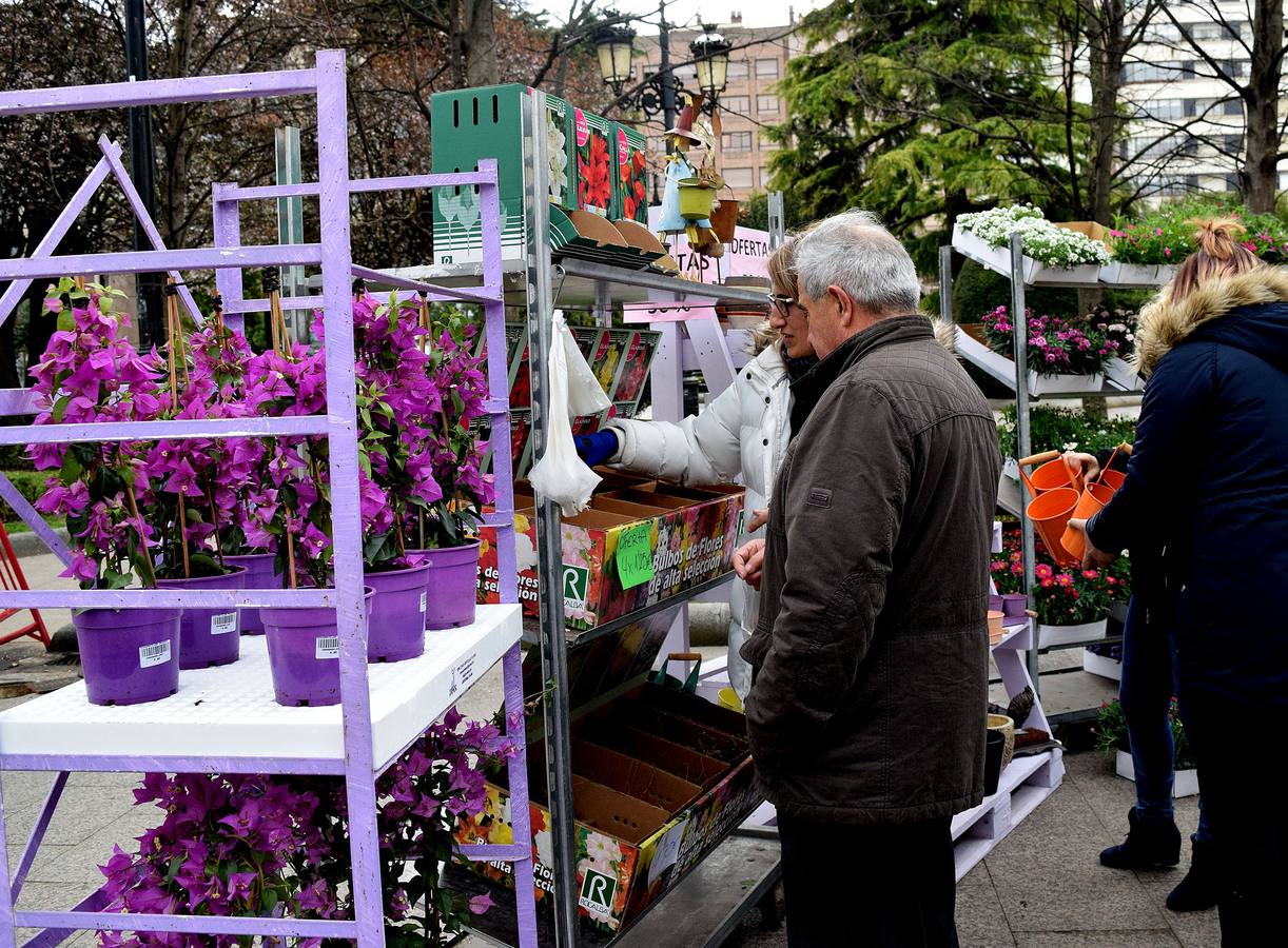 Florece el Espolón