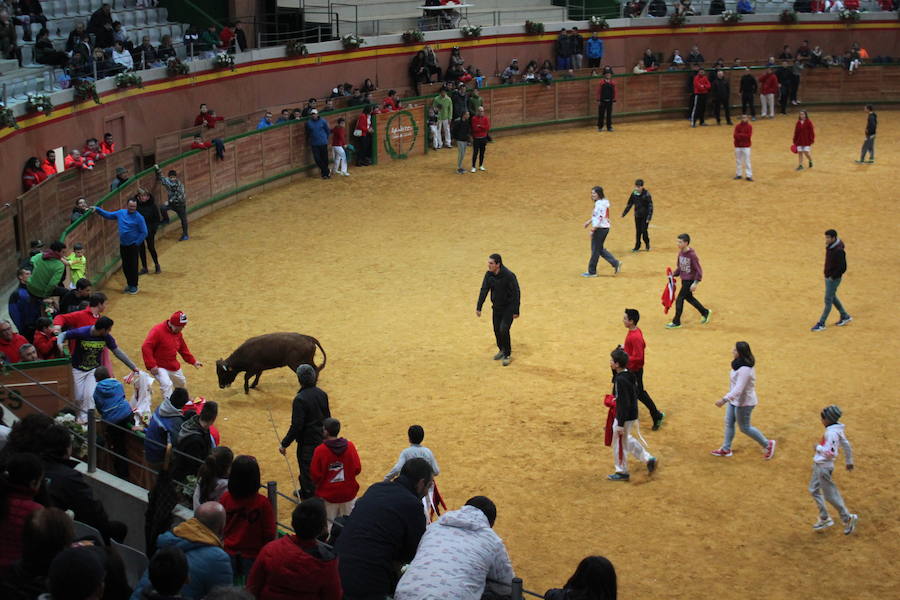 Tercer día de Fiestas de Arnedo