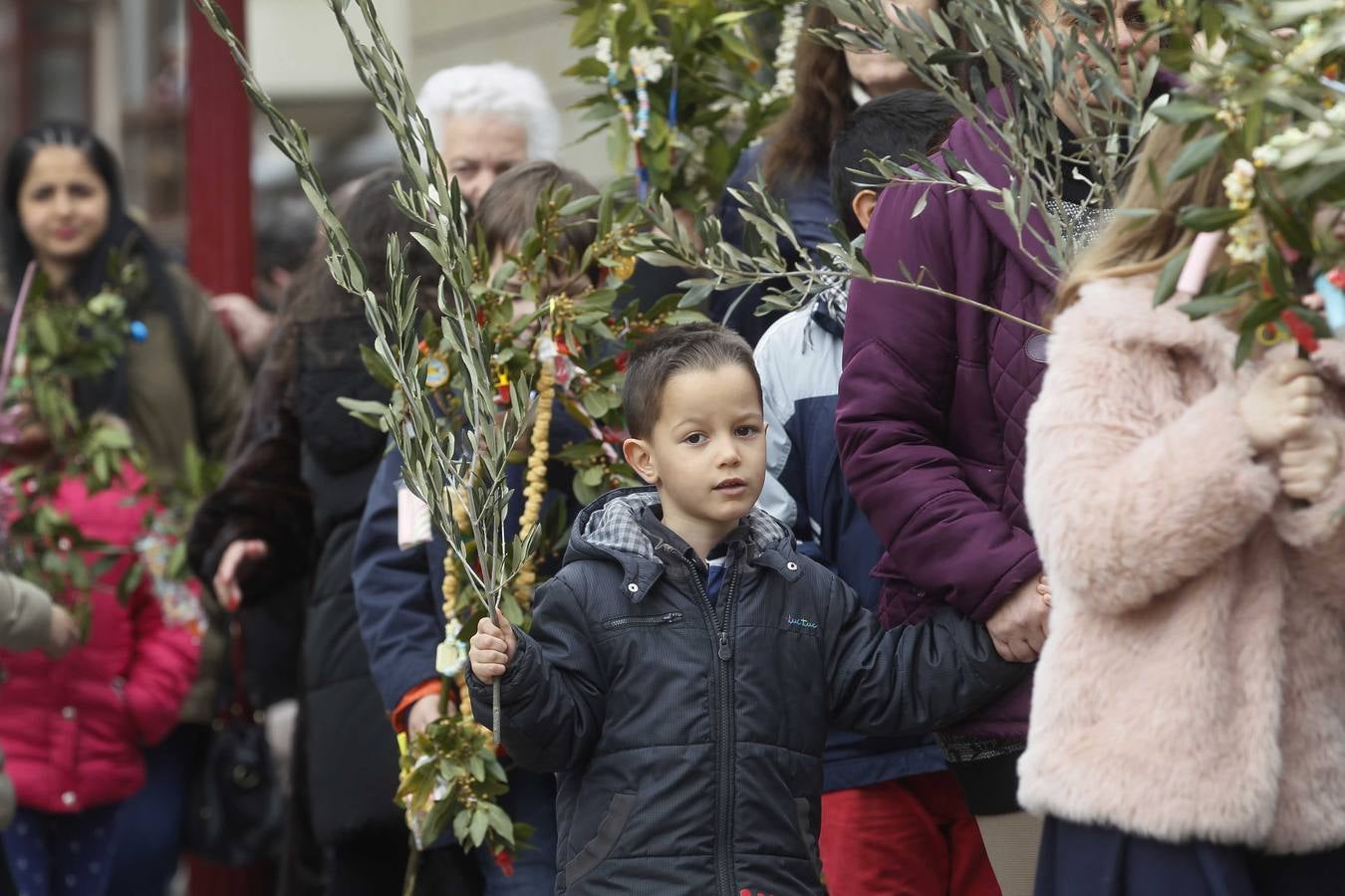 La borriquilla recorre Logroño