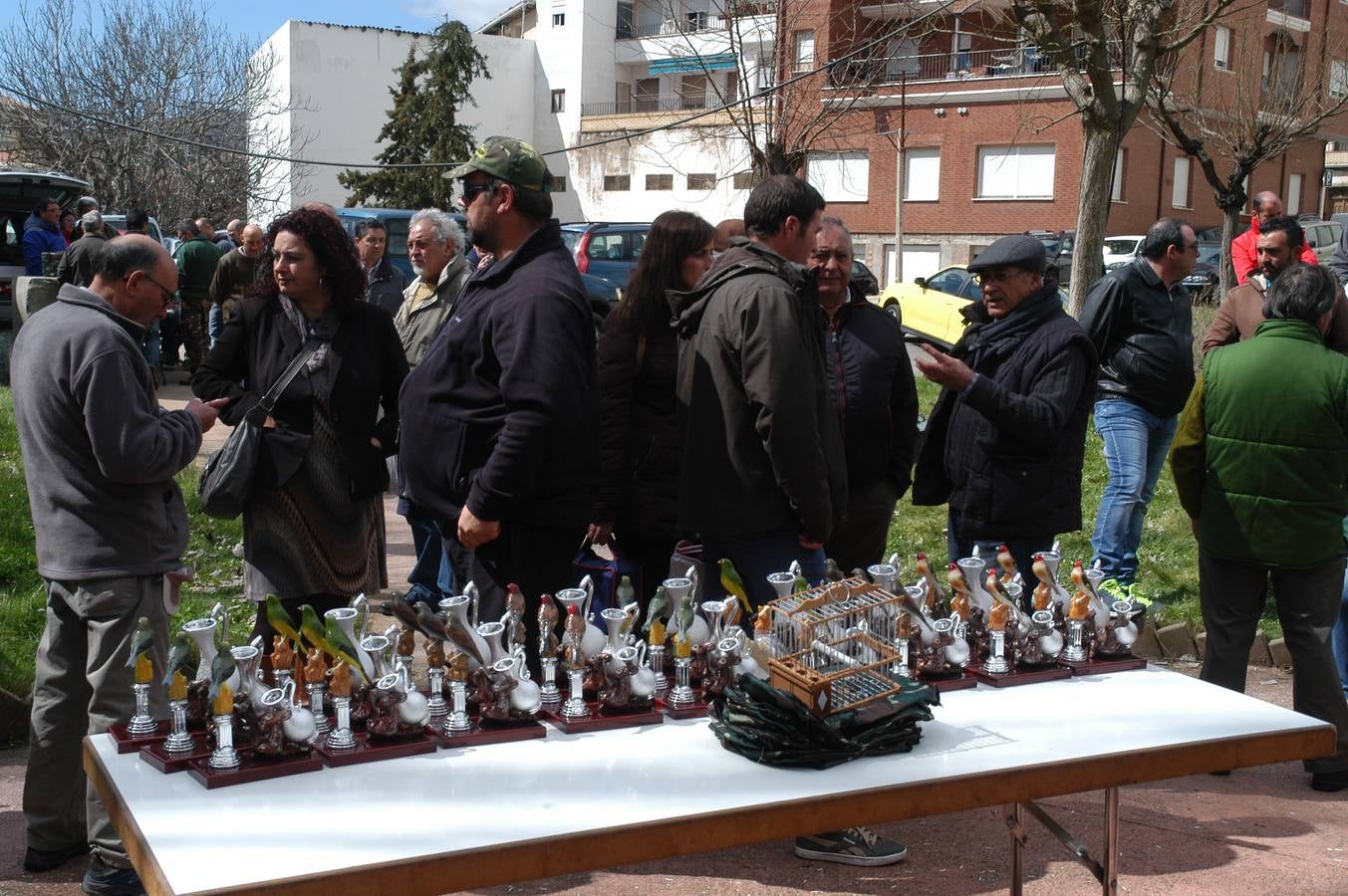 Concurso de canto de aves en Cervera