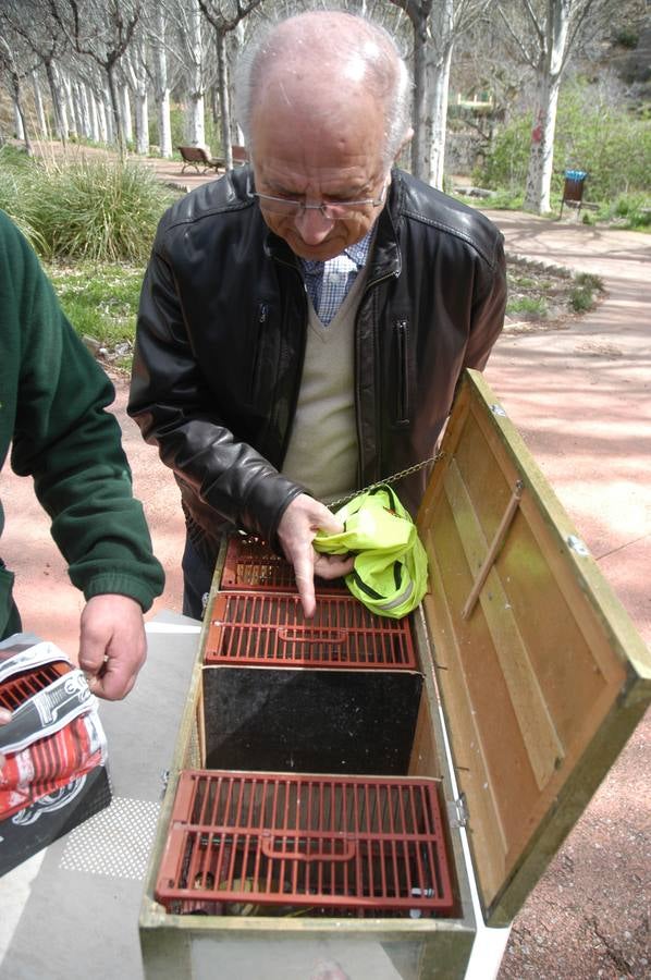 Concurso de canto de aves en Cervera