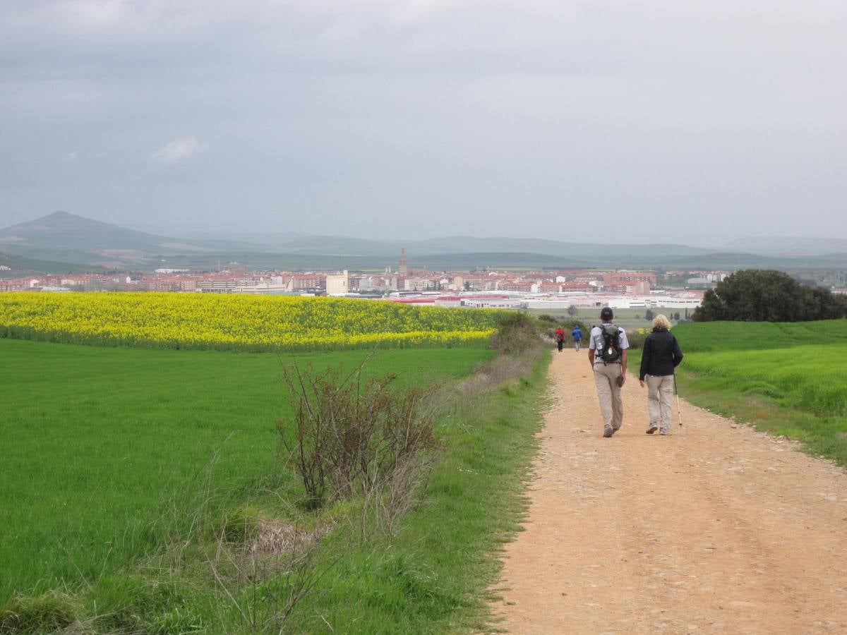 Experiencia peregrina en La Rioja Alta