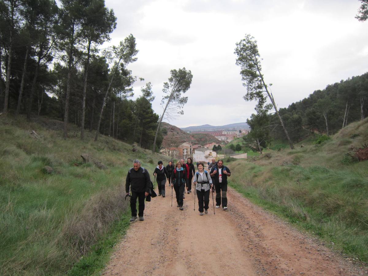 Experiencia peregrina en La Rioja Alta