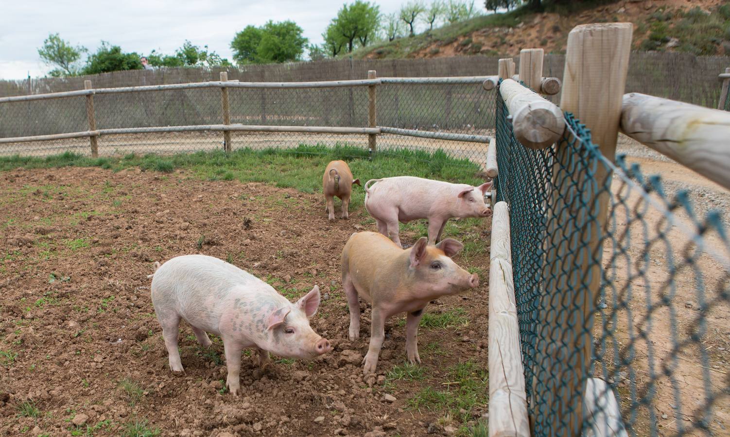 La granja de la Grajera  reabre sus puertas