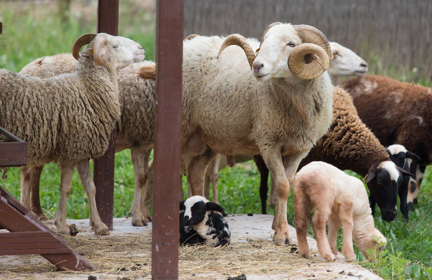 La granja de la Grajera  reabre sus puertas