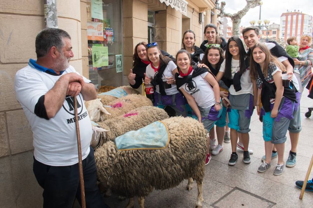 Primer día de fiestas en Santo Domingo: cohete, tradiciones y mucha diversión