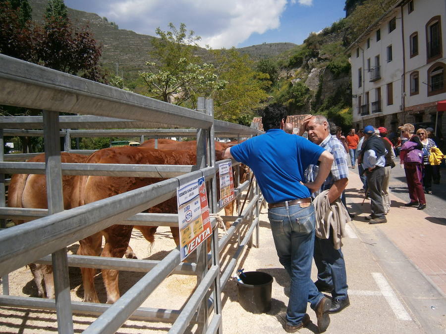 Feria del ganado en Soto en Cameros