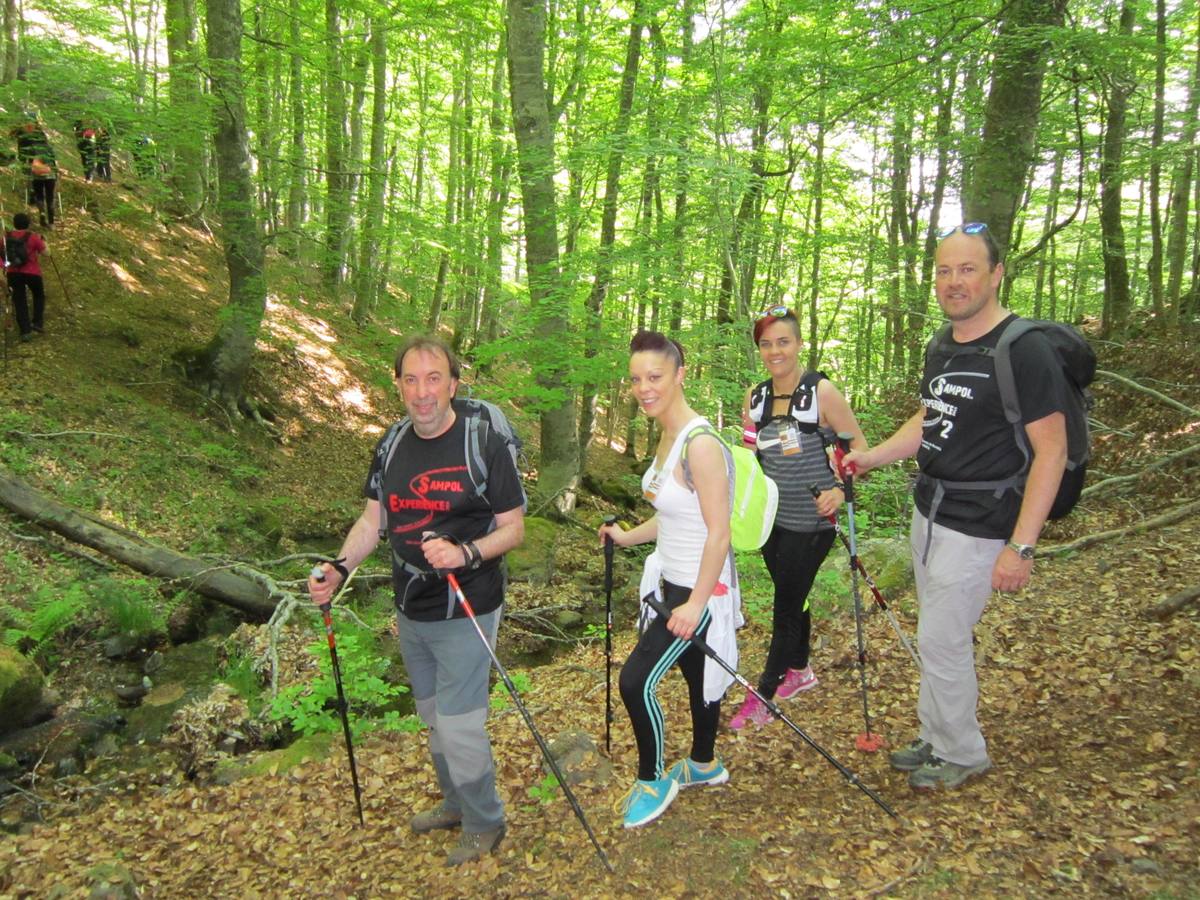 Marcha por los montes de Anguiano