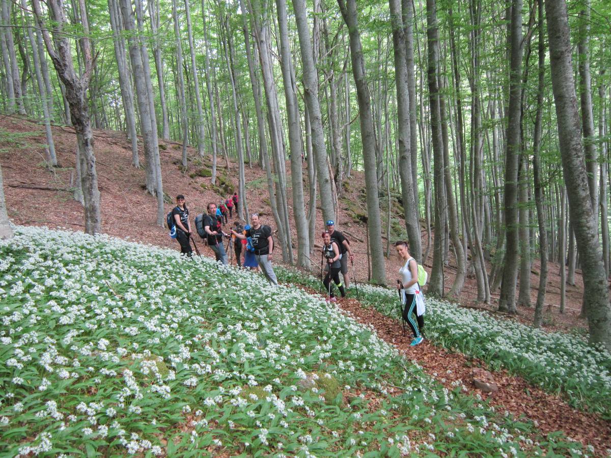 Marcha por los montes de Anguiano