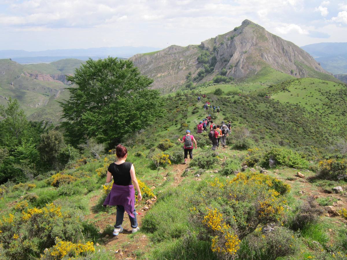 Marcha por los montes de Anguiano