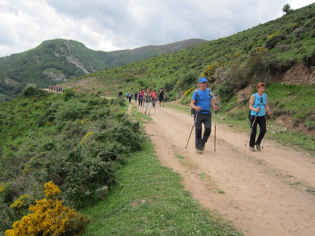 Marcha por los montes de Anguiano