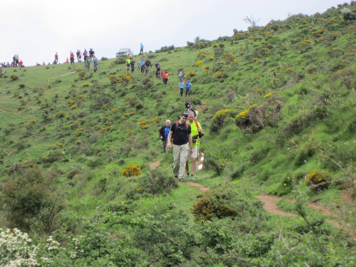 Marcha por los montes de Anguiano