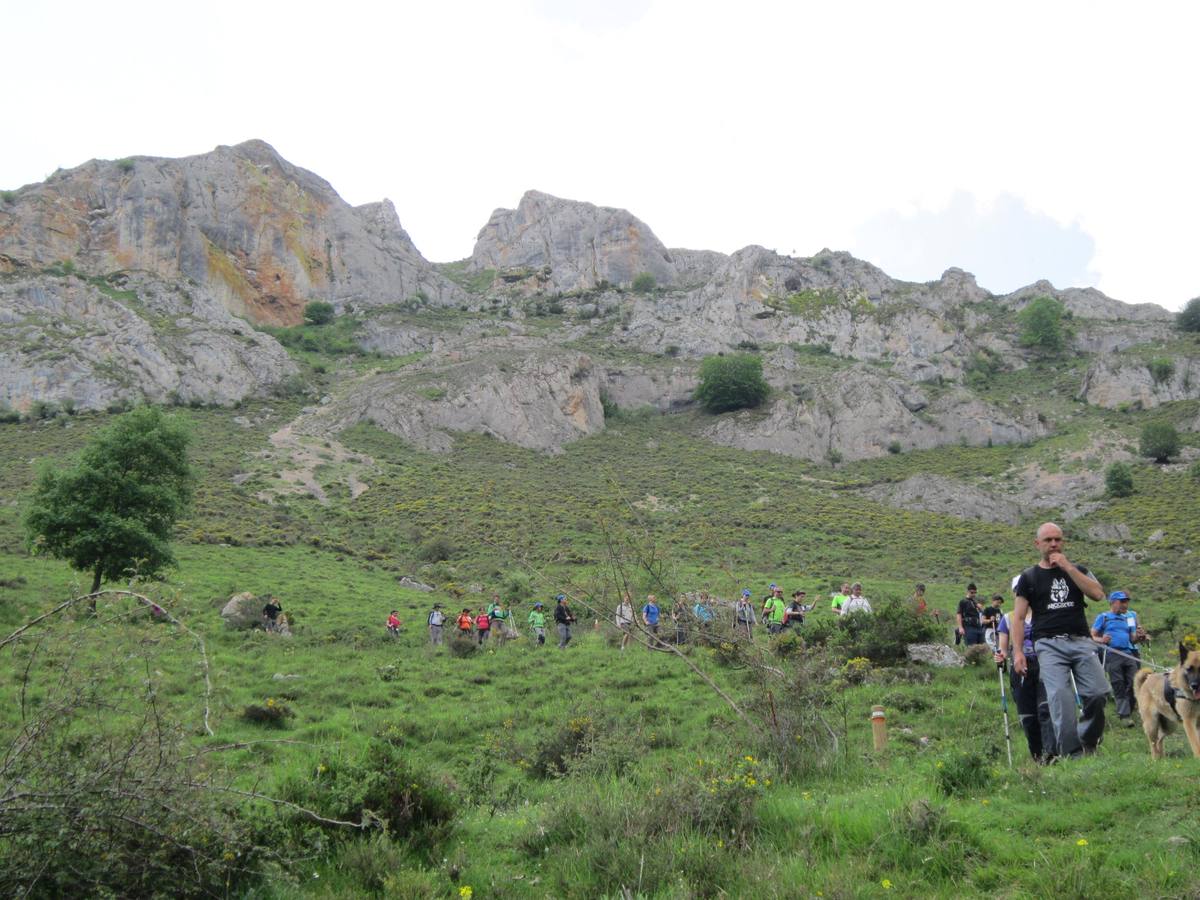 Marcha por los montes de Anguiano