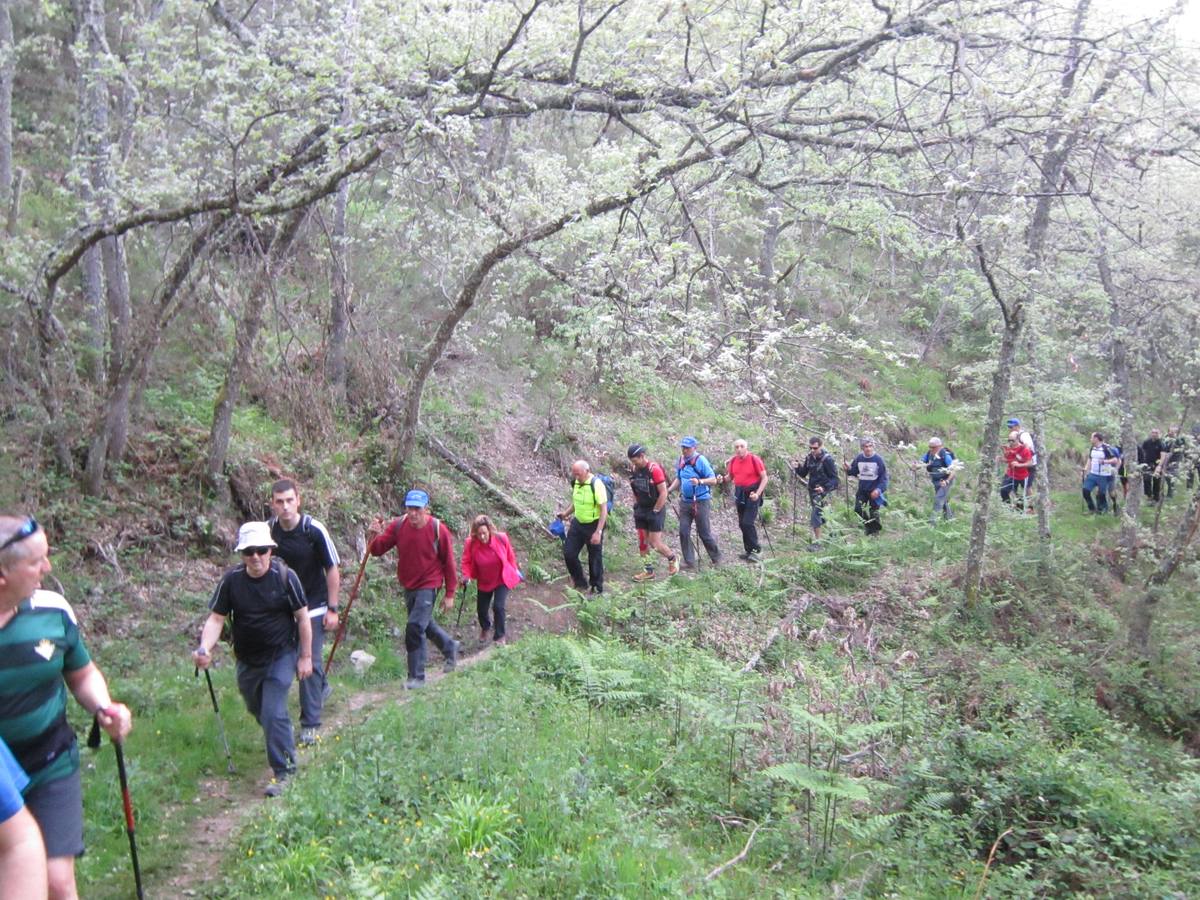 Marcha por los montes de Anguiano