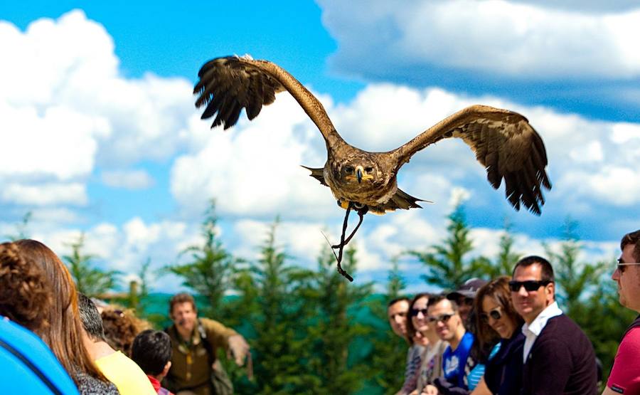 Un Día de La Rioja entre rapaces