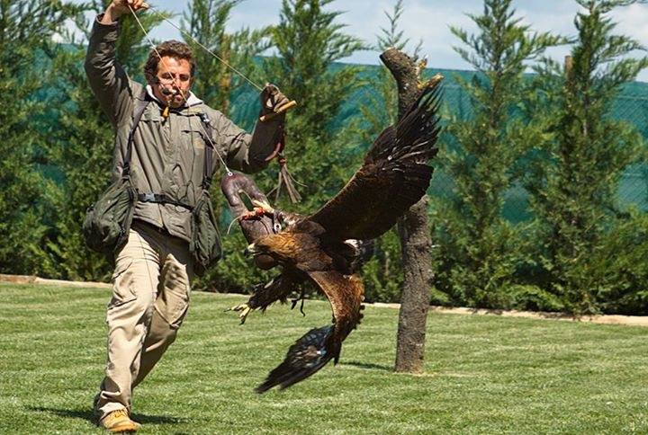 Un Día de La Rioja entre rapaces