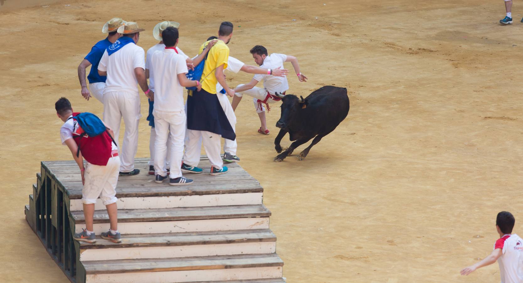 Peñistas, ¡al toro!