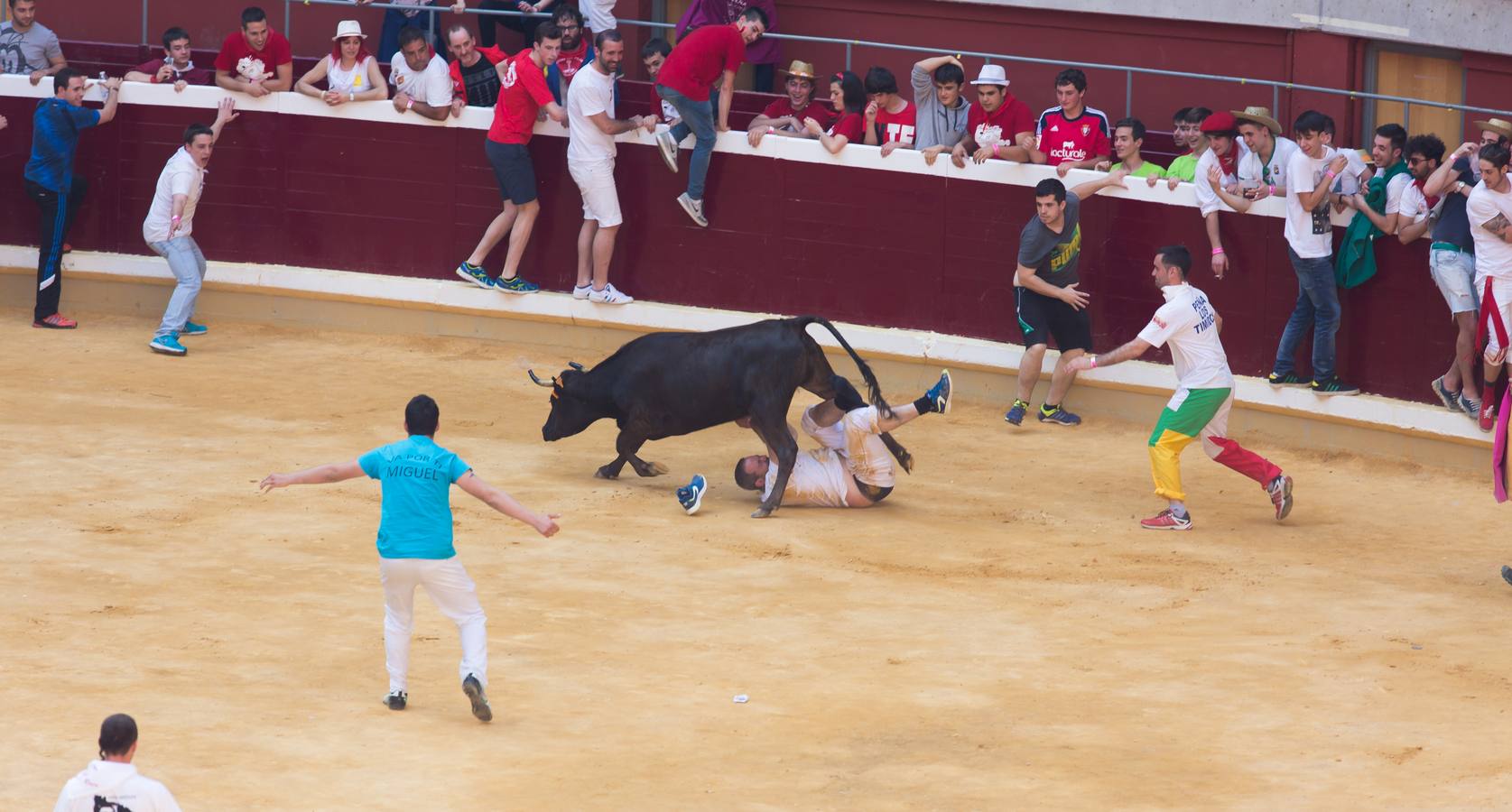 Peñistas, ¡al toro!