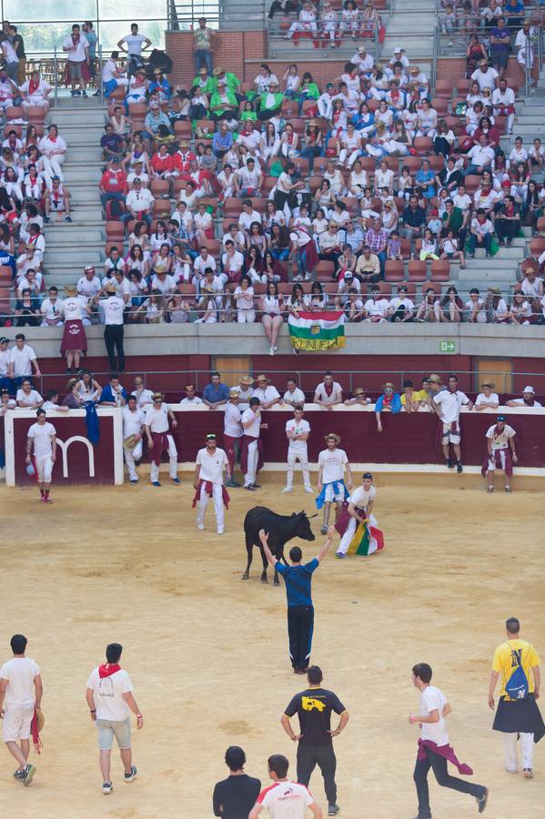 Peñistas, ¡al toro!