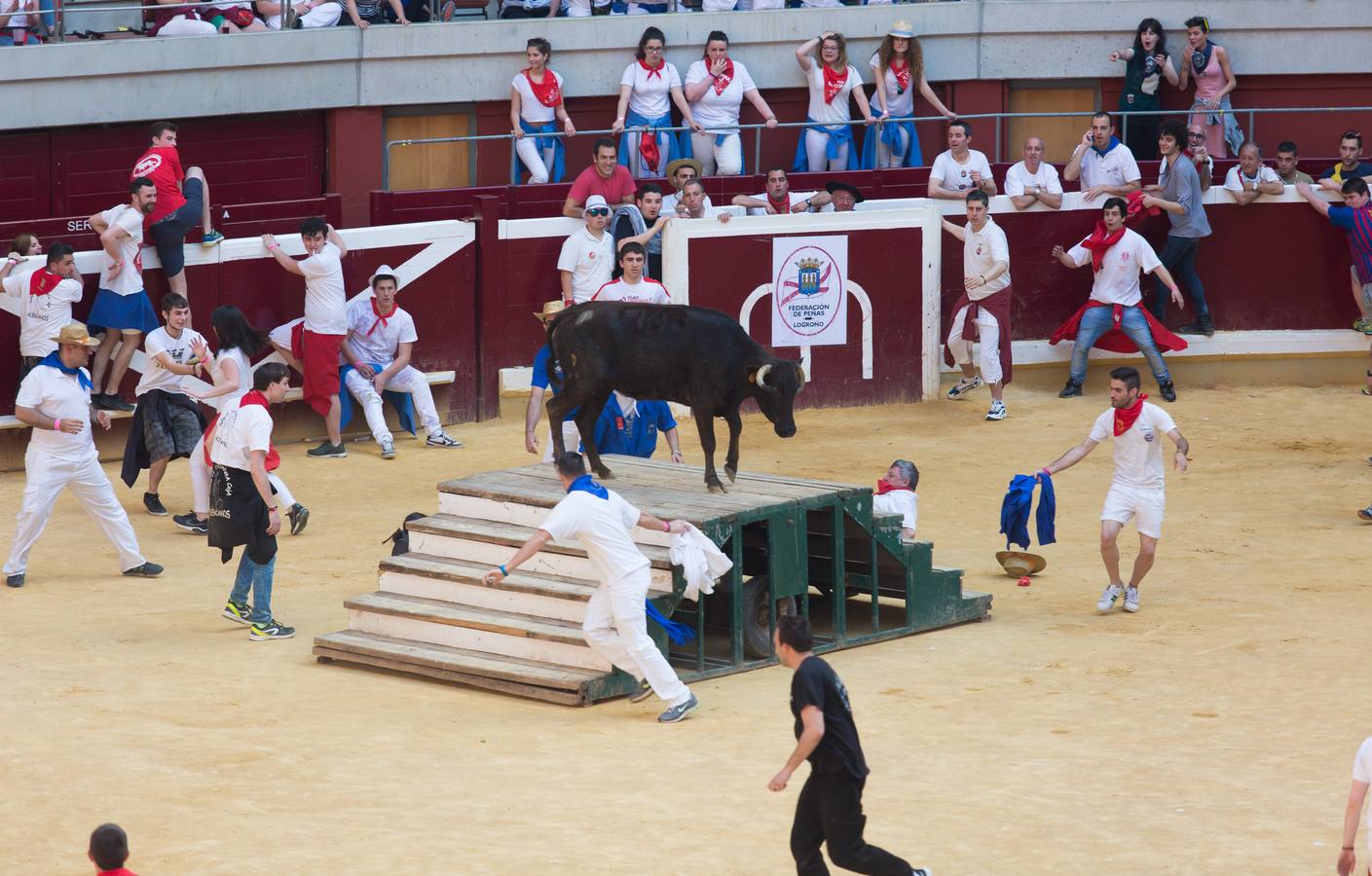 Peñistas, ¡al toro!