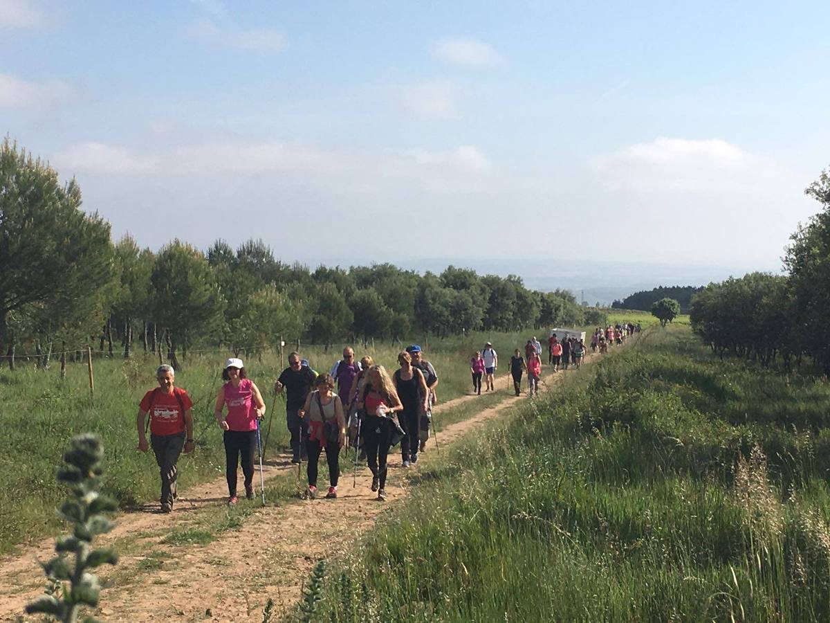 Marcha de Tudelilla por el valle